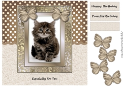 Purrrfect Birthday Cute Kitten