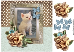 Cute Kitten & Roses