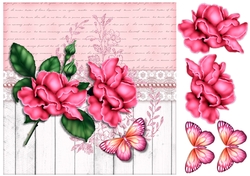 Pink Roses