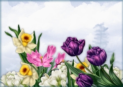A4 Spring  is Coming...