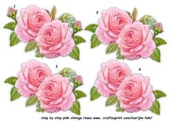 Step By Step Pink Vintage Roses