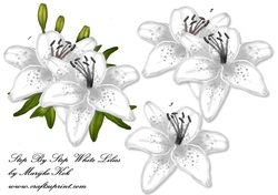 White Lilies Step by Step