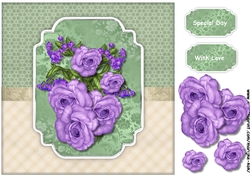 Lavender Roses