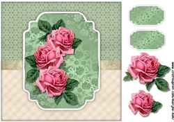 Antique Roses