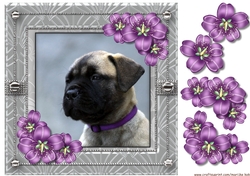 Puppy Love  Card Topper