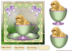 Cute Chicken In Teacup