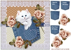 Birthday Girl Jeans ,Roses & Kitten