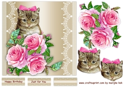 Vintage Kitten & Roses