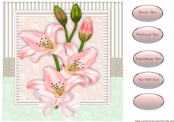 Beautiful Lilies 1