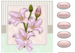 Beautiful Lilies 3