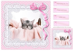 Cute Sleeping Kitten 