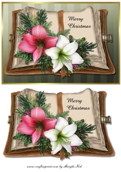 Classic Book Christmas