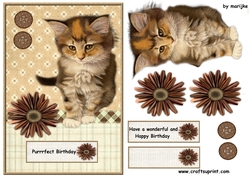 Purrrfect Birthday Cute Kitten