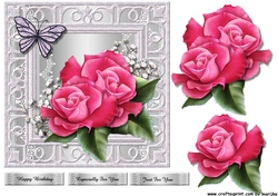 Silver Frame Royal Roses