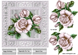 Sliver frame Silver Roses