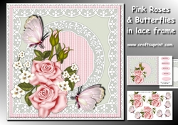 Pink Roses & Butterflies In lace frame Mini kit