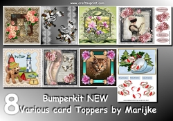 Bumperkit 8 New Various Cards