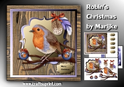 Robins Christmas Mini Kit