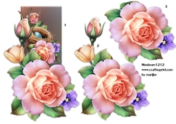 Spring Roses Step By Step