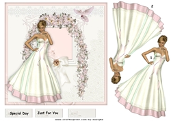 Beautiful Dress Special day