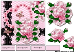 Gorgeous Pink Roses & Black lace
