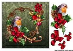 Robins Christmas Quick card