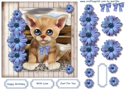 Cute Kitten Birthday Boy & Girl