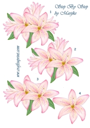 Step By Step Pink Lilies