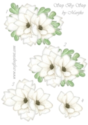 Step By StepBeautiful Flowers