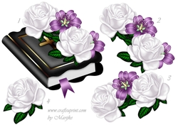 Bible Step By Step 1