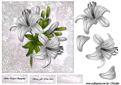 Sympathy Lilies