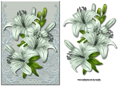 Lilies & lace Mint