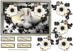 Beautiful Dog In Roses Frame