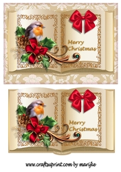 Vintage Christmas  Book Robin