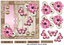 Beautiful Butterflies & Flowers