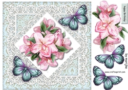 Orchids & Butterflies 