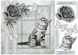 Purrrfect Birthday quick card