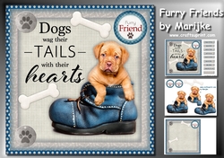 Furry Friends Mini Kit