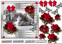 Beautiful Kitten & Red Roses