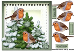 Christmas Robins