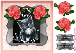 Cute Kitten & Roses