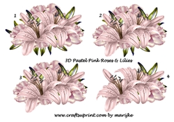 3D Roses & Lilies Soft pastel Pink
