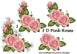 3D Pink  Roses 
