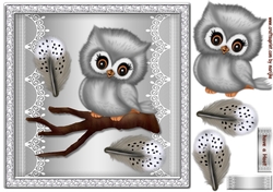 Cute Owl & Feathers