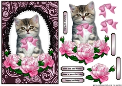 Purrrfect Birthday