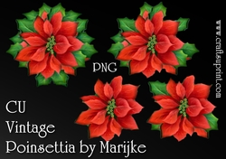 CU Vintage Poinsettias