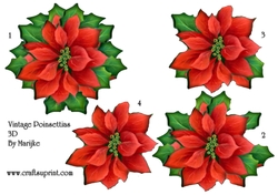 3D Vintage Poinsettias