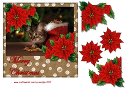 Christmas Cat