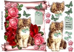 Scroll Vintage Kitten & Roses
