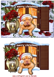 Puppys Christmas Window